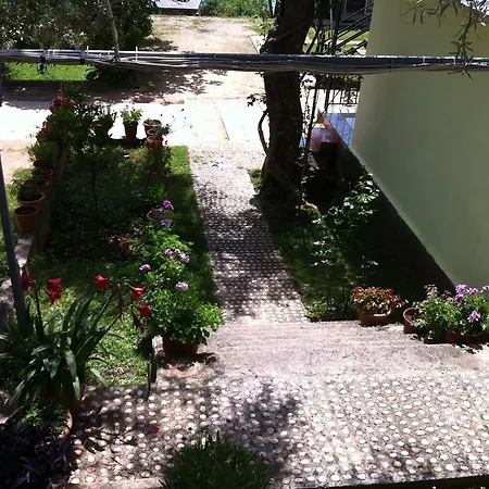 Pano Marko *
